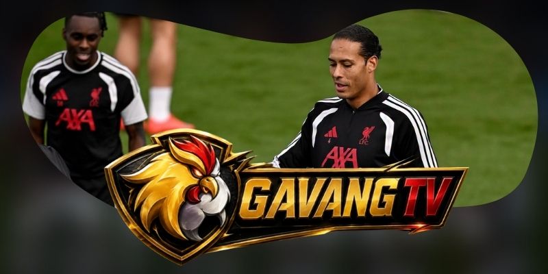 Brentford cần tận dụng sân nhà bằng thế trận giàu kỷ luật