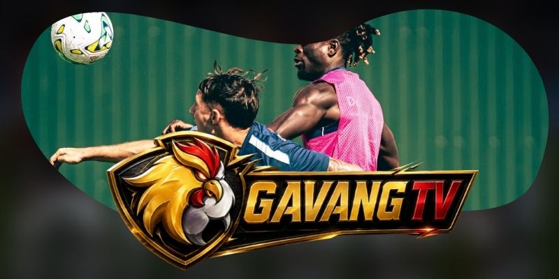 Gợi ý chốt kèo tổng hợp trận FC Famalicao vs Alverca ngày 13/10