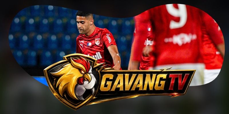 Gợi ý chốt kèo tổng hợp trận Santa Clara vs Benfica ngày 27/10